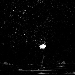 Lily's Song