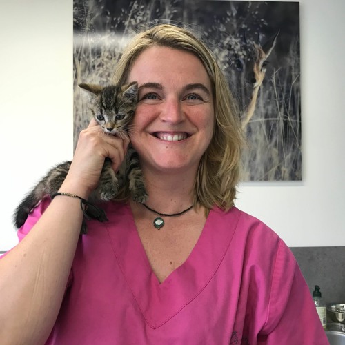 Stream Episode 3 L Ete Du Chat Nos Conseils By Le Podcat Radio Des Chats Listen Online For Free On Soundcloud Stream Episode 3 L Ete Du Chat Nos Conseils By Le Podcat Radio Des Chats Listen Online For Free On Soundcloud