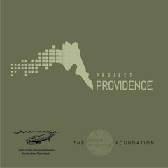 S4A01603 20170127 193925 44100