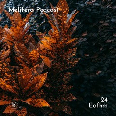 Melifera Podcast 24 | Eafhm