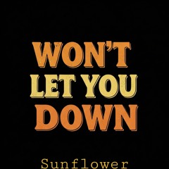 Wont let you Down