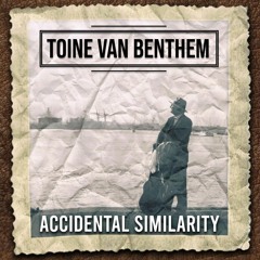 Toine van Benthem - Accidental Similarity