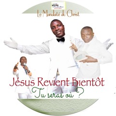 Ca me fait ma-aal (Remix)