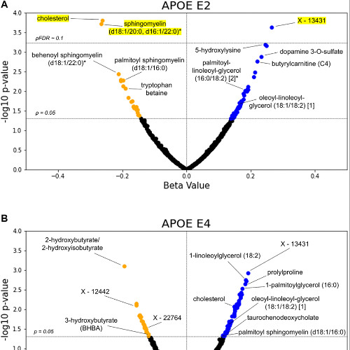 APOE Gene Variants Linked to Metabolic Signatures of Aging and Alzheimer's Risk