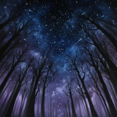 By The Light Of The Stars