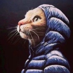 they talk im stranger