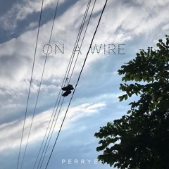 On a wire.