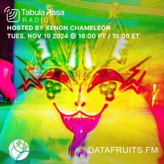 Xenon Chameleon TR Radio Mix 11 - 19 - 2024
