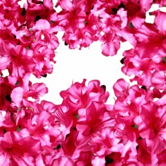 Young Choza - Bass Drop