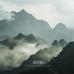 Magnus Söderstörm - Destiny