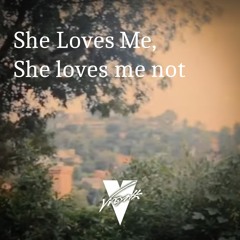 Louis Futon - She Loves Me Not (Vinsynth Remix)