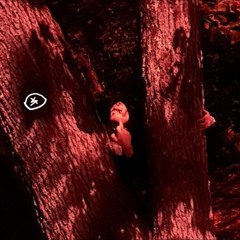 CRIMSON NIGHT