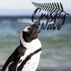 CW Radio 109 ⑊ Penguin Slide