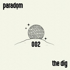 the dig 002