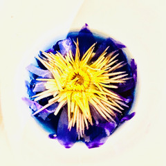 always moovingroovitechno mix