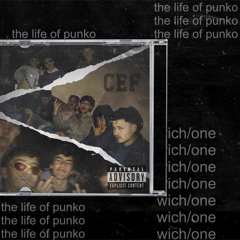 THE LIFE OF PUNKO