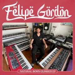 SNF074 // Felipe Gordon - Natural Born Climber EP