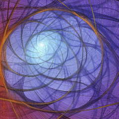 Schrödingers Schicksal