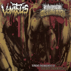 Vomiting Decayed Fecal Matter