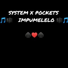 SYSTEM THE KID X 20 POCKETS - IMPUMELELO