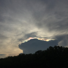 XO - John Mayer (cover)