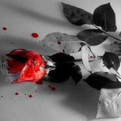 Dan Balan - Лепестками Слёз Hardstyle Remix By MAKS.RMX