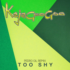 Too Shy (Pedro Gil Remix)