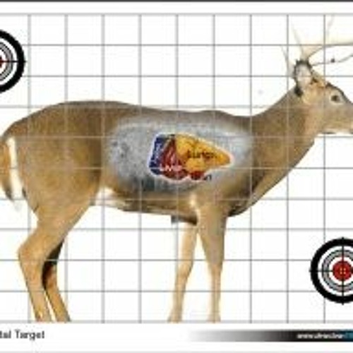 Stream Free Printable Deer Vitals Targets by Chad Listen online for
