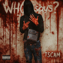 (AGB) T.Scam - Who Says
