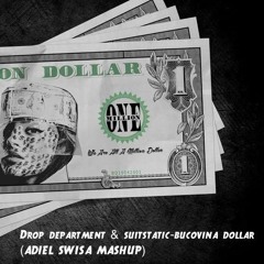 Drop Department & SuitStatic - Bucovina Dollar (Adiel Music Mashup)