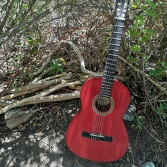 Crazy Life (Toad the Wet Sprocket cover)