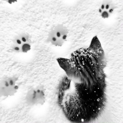 today is your day <33