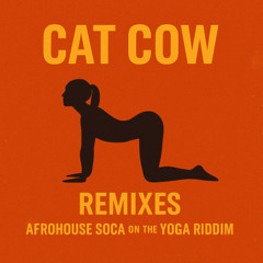 Cat Cow Afro House Remix