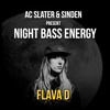 Night Bass Energy: Flava D Night Bass Energy: Flava D
