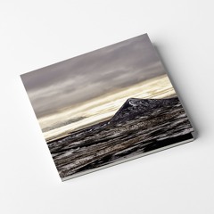 Joachim Spieth - Reshape