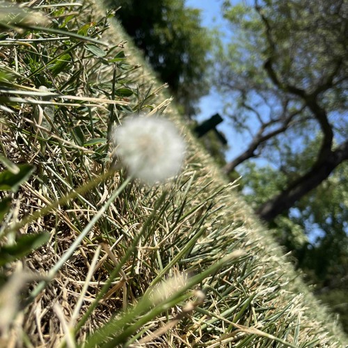 Ambient Times 5.19.25.6.23.PM
