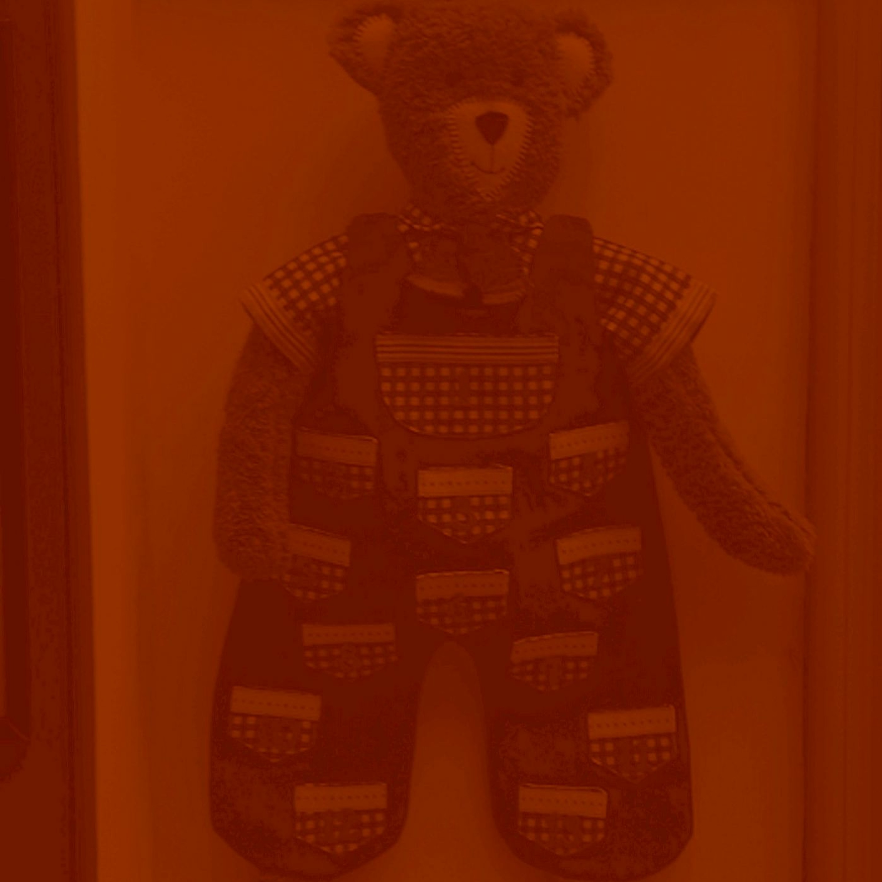 Teaganbear