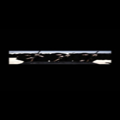 AK47 - 11XXXNOISE