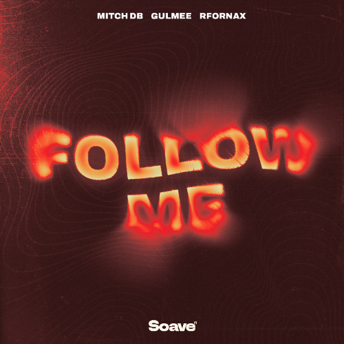 MITCH DB, Gulmee & RFornax - Follow Me