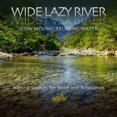 Steady River Flow