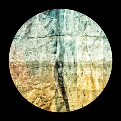Did You Really..? (Bandcamp Exclusive)