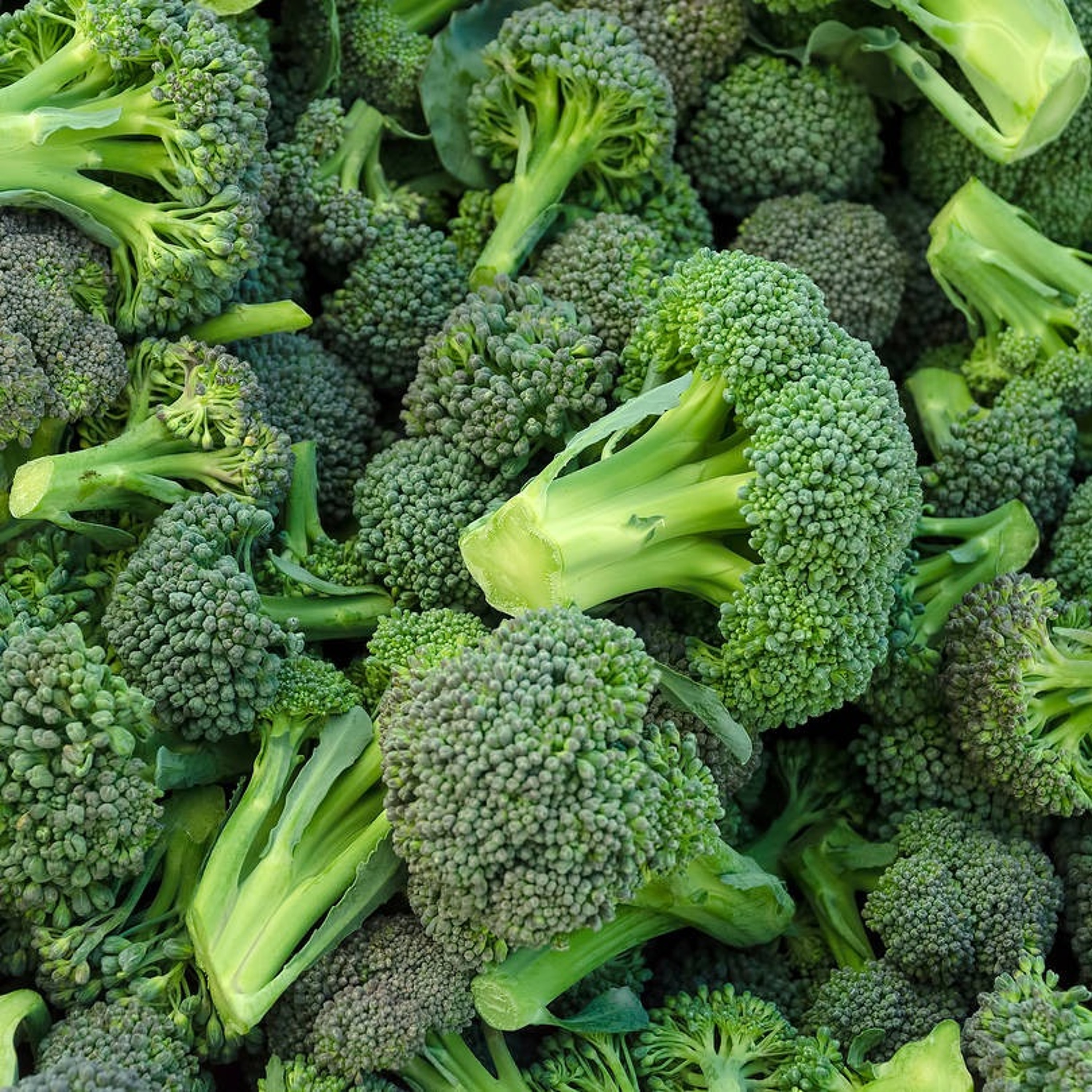 I Think You're Good For Me Like Broccoli episode artwork