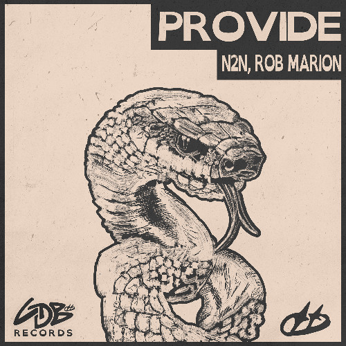 N2N, Rob Marion - Provide