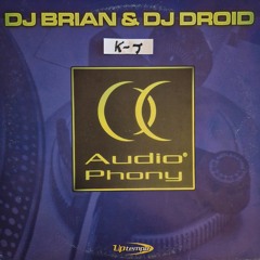 Dj Bryan & Dj Droid - Audioharmony (Makina)