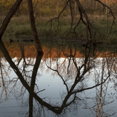 Life as Collage w/ yusk: 23rd November '25