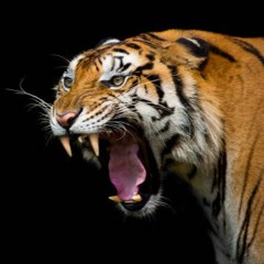 Suicidal tendencies Subliminal remix