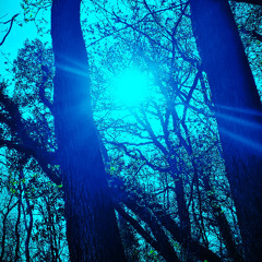 Steppin’ To Another Sun (Instrumental) - Earthical Mind Dub