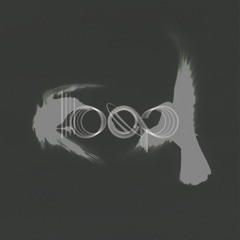 Loop