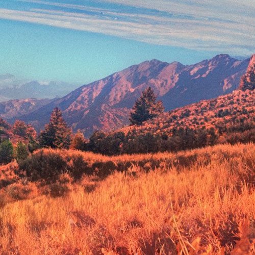 Whistling Winds(Royalty Free Music)