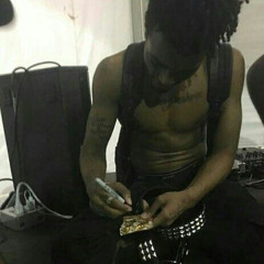 rip x (siahprice)(2023)